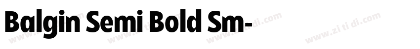 Balgin Semi Bold Sm字体转换